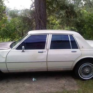 Meet your Posher, Benjamin